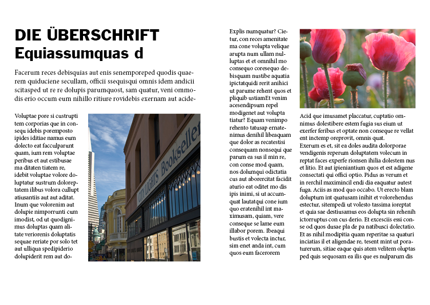 Editorial – Layoutstudie 01